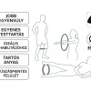 Gyakorlatok a pilates gyűrű segítségével