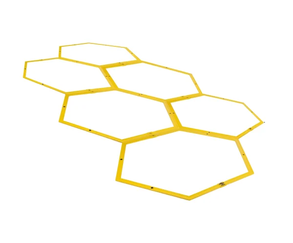 A koordinációs létra edzésre kész állapotban